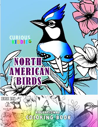 North American Birds