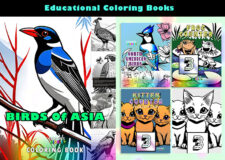 Coloring Books-EDU