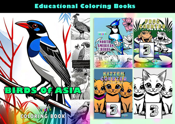 Curious Kiddie Educational Coloring Books Categories Image banner