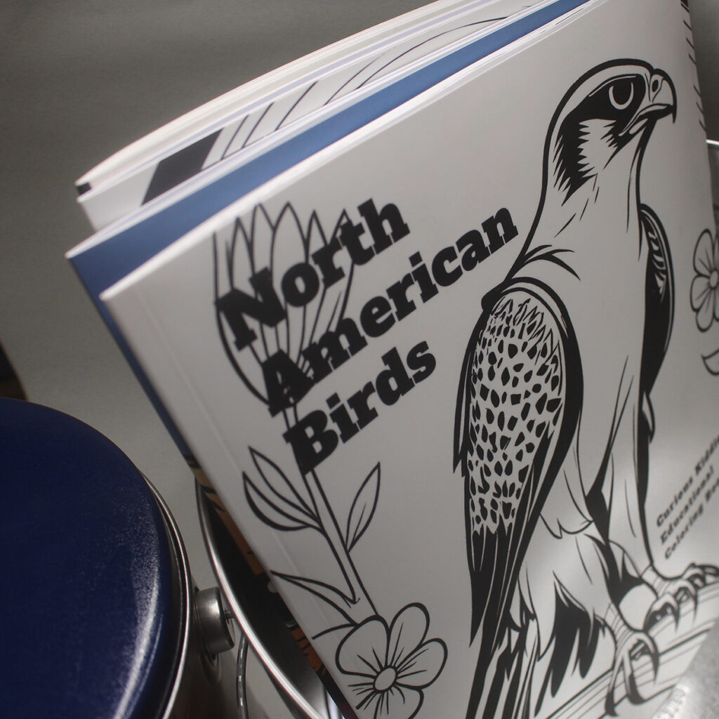 North American Birds Educational Coloring book print image