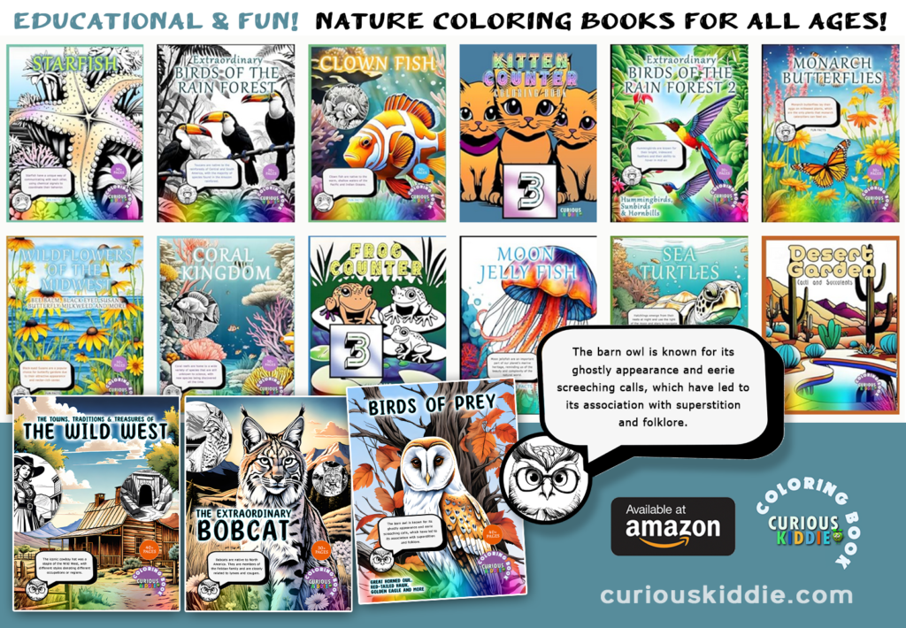 Curious kiddie educational coloring books amazon Webbanner Adxl Rect