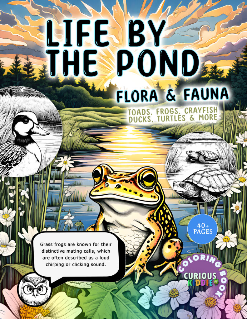 life by the pond amazon coloring book cover