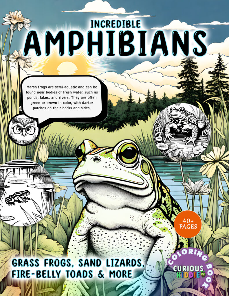 Amphibians Cover]