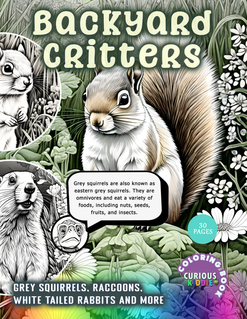 backyard critters amazon coloring book cover