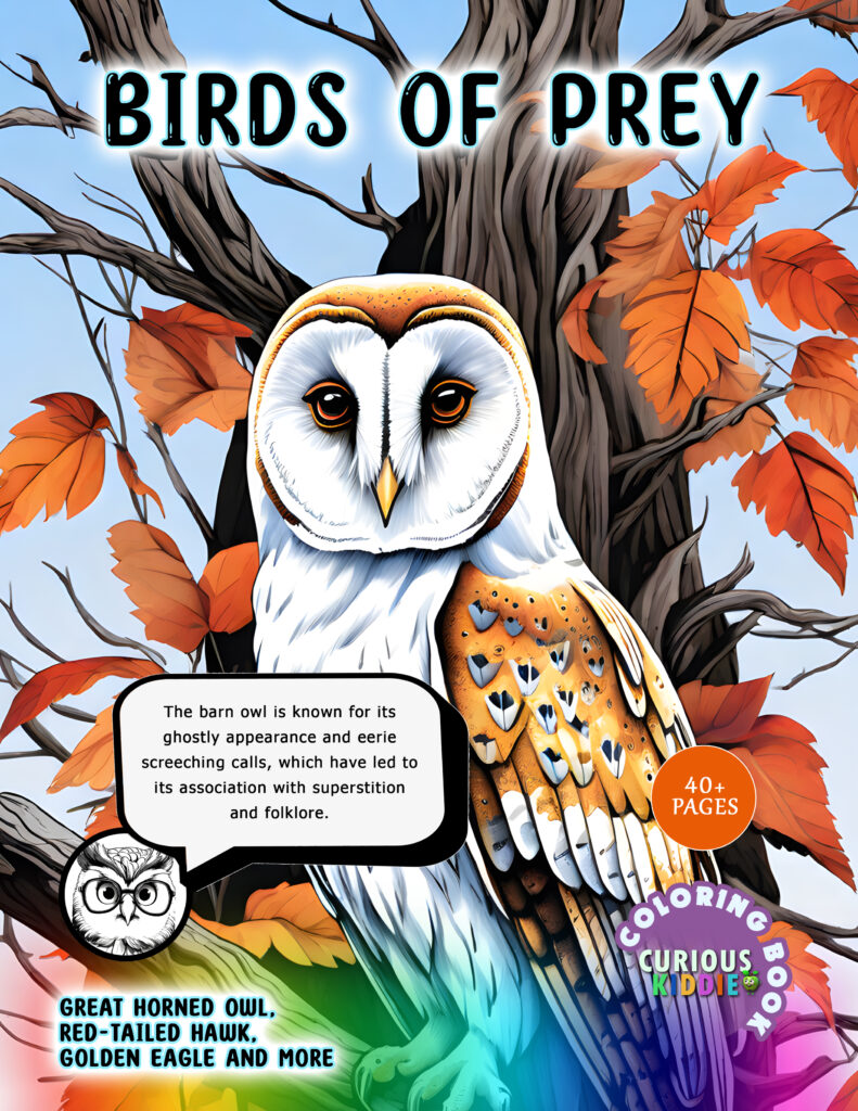 birds of prey book cover