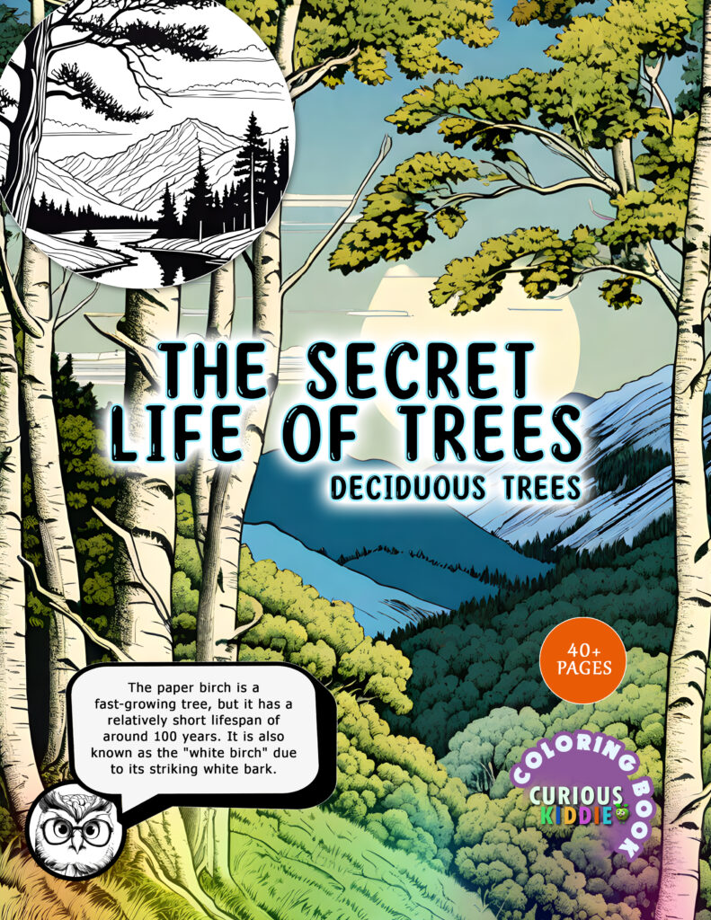 secret life of trees book cover amazon