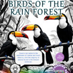 Rainforest Birds1[cover]