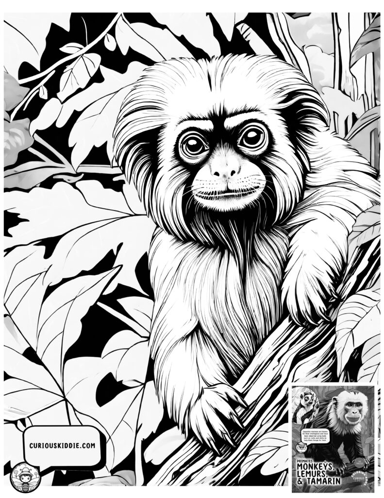 Primates Lemur coloring page. Animals Coloring Pages. Printable Downloads: Free Animal Coloring Pages